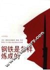 钢铁是怎样炼成的（新版新封面）