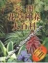 彩图花草种养大百科