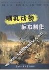 哺乳动物标本制作
