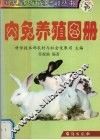 肉兔养殖图册