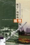 城市广场绿地植物配植
