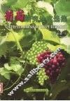 葡萄研究论文选集