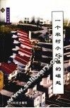 一个农村小城镇的崛起