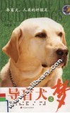 导盲犬之梦