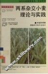 两系杂交小麦理论与实践