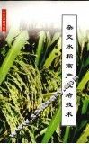 杂交水稻高产栽培技术