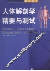 人体解剖学精要与测试