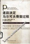 逐段决定马尔可夫骨架过程
