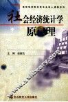 社会经济统计学原理