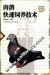 肉鸽快速饲养技术