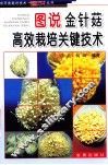 图说金针菇高效栽培关键技术