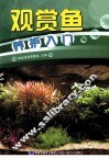 观赏鱼养护入门