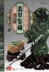 天下收藏系列  翡翠鉴藏  3