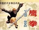 中国武术故事连环画  鹰拳