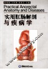 实用肛肠解剖与疾病学