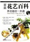 家庭花艺百科  养花插花一本通