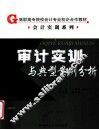 审计实训与典型案例分析