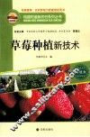 草莓种植新技术
