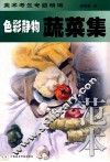 色彩静物蔬菜集  范本