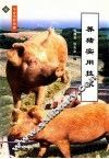 养猪实用技术