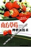 南方草莓种植新技术