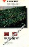 草莓栽培技术