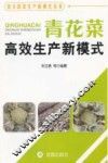 青花菜高效生产新模式