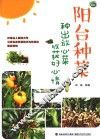 阳台种菜  种出放心菜收获好心情