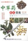 中草药速认图集