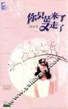 你只是来了又走了