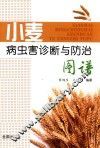 小麦病虫害诊断与防治图谱
