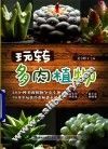 玩转多肉植物