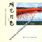 湖光湿色  洪泽湖湿地丙烯画选