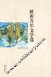 陕西青年文学选  2012  诗歌 封面