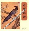 绘画书籍  百鸟画谱
