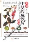 常用中草药及饮片图谱