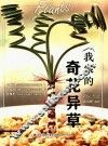 我家的奇花异草