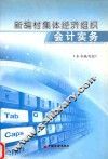 新编村集体经济组织会计实务