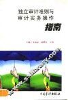 独立审计准则与审计实务操作指南