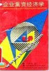 企业集资经济学