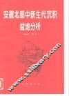 安徽北部中新生代沉积盆地分析
