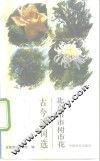 北京市市树市花古今诗词选