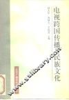 电视跨国传播与民族文化