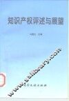 知识产权评述与展望