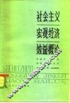 社会主义宏观经济效益概论