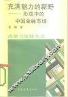 充满魅力的新野  形成中的中国金融市场