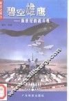 碧空雄鹰：新世纪的战斗机