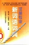 汉英专业新词语词典