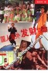 国人海外发财实录