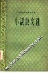 小说散文选